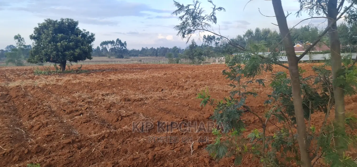 5-Acre Land for Sale: Prime Property in Cheplasgei Eldoret in Racecourse