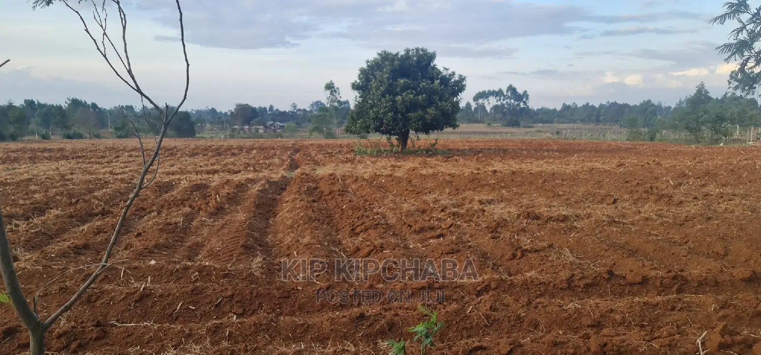 5-Acre Land for Sale: Prime Property in Cheplasgei Eldoret in Racecourse