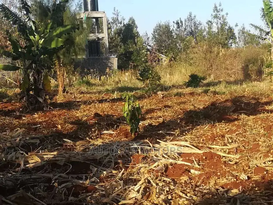 Mugumo's 1/4 Acre Land: Your Dream Property in Tinganga