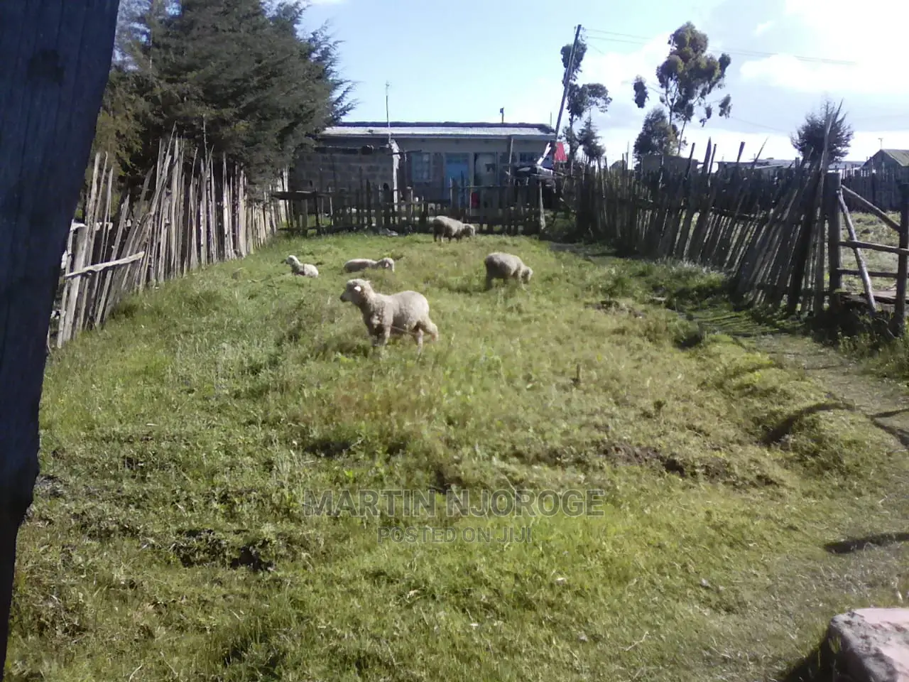 50 By 100 Plot Fryover in Naivasha East