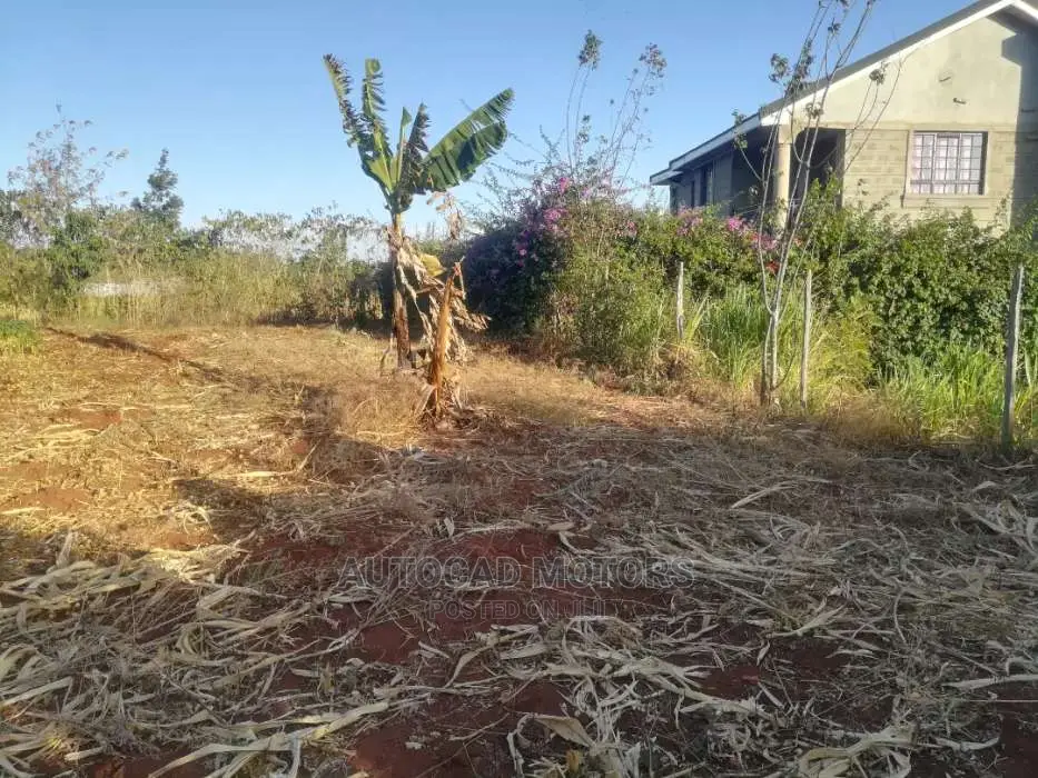 Mugumo's 1/4 Acre Land: Your Dream Property in Tinganga