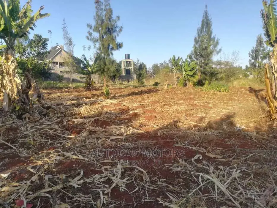 Mugumo's 1/4 Acre Land: Your Dream Property in Tinganga