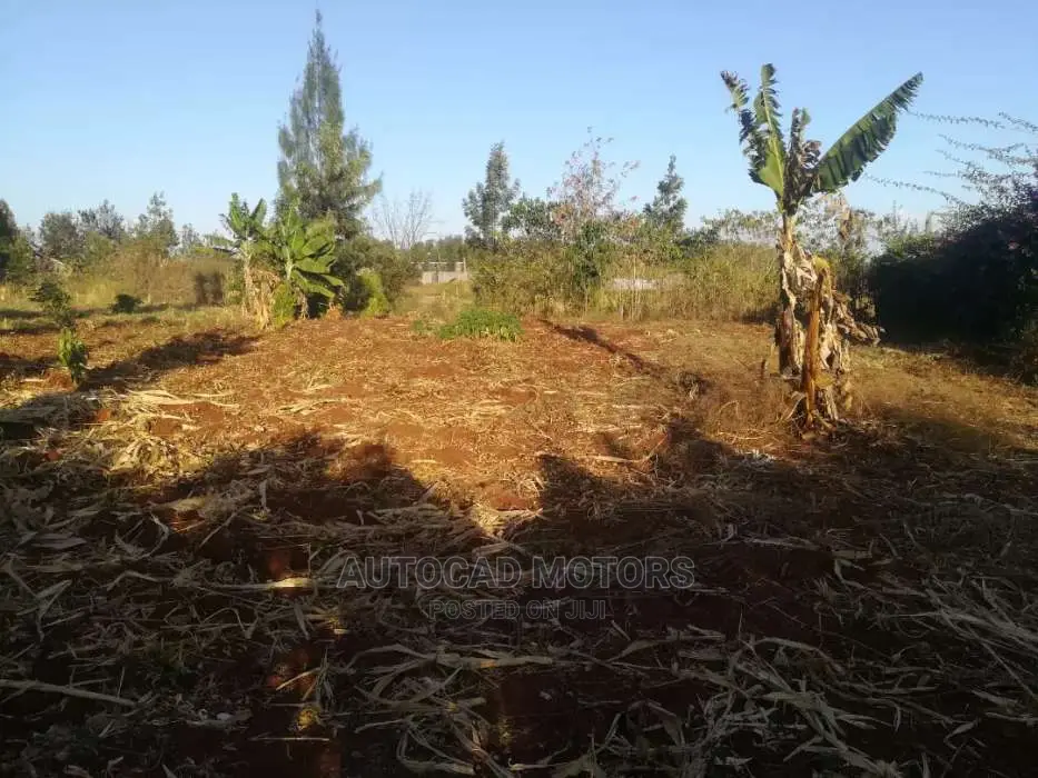 Mugumo's 1/4 Acre Land: Your Dream Property in Tinganga