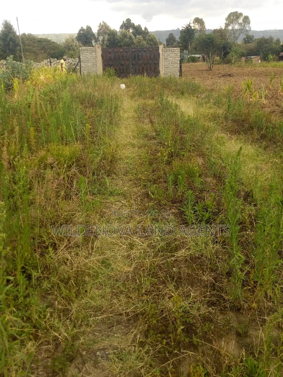 Prime 50*100 Plot in Karati Naivasha - Ready for Purchase in Biashara