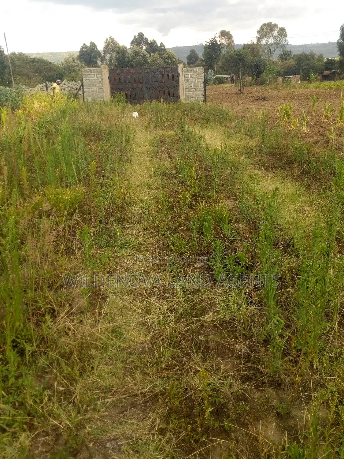 Prime 50*100 Plot in Karati Naivasha - Ready for Purchase in Biashara