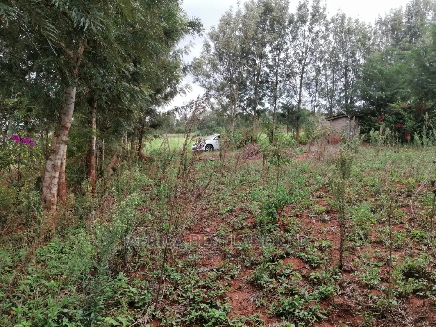 Residential Plot for Sale in Migumoini in Kikuyu