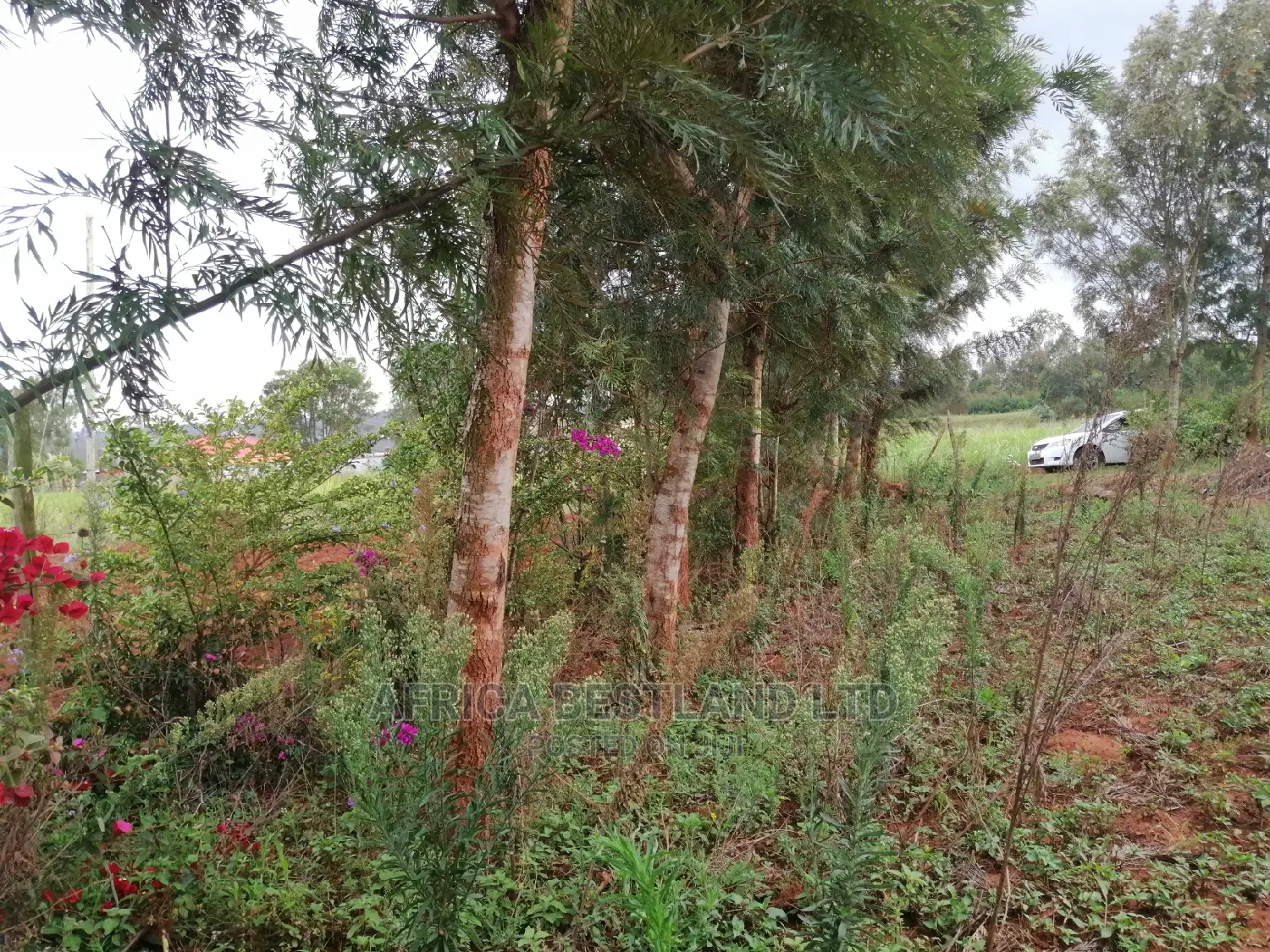 Residential Plot for Sale in Migumoini in Kikuyu