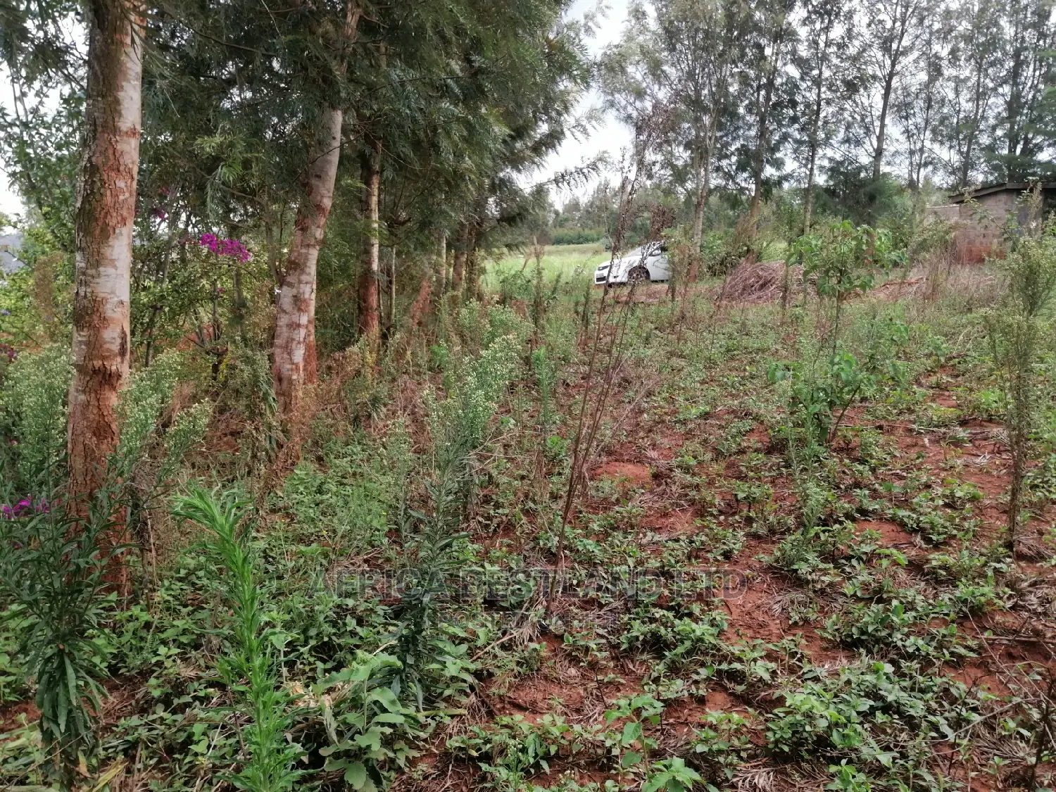 Residential Plot for Sale in Migumoini in Kikuyu