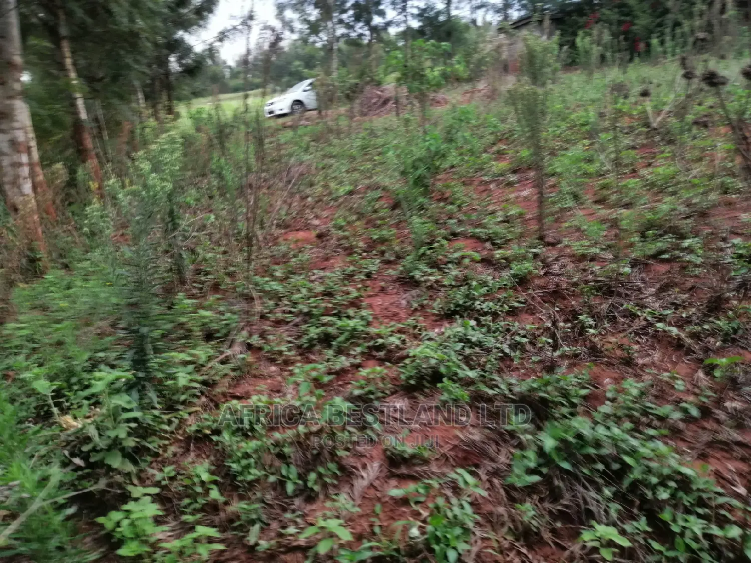 Residential Plot for Sale in Migumoini in Kikuyu