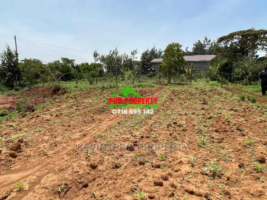 Kamangu's Prime 1/8 Acre Residential Land Available for Purchase in Karai