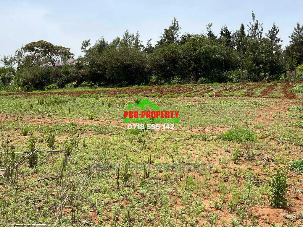 Kamangu's Prime 1/8 Acre Residential Land Available for Purchase in Karai