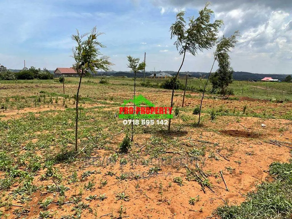 Kamangu's Prime 1/8 Acre Residential Land Available for Purchase in Karai