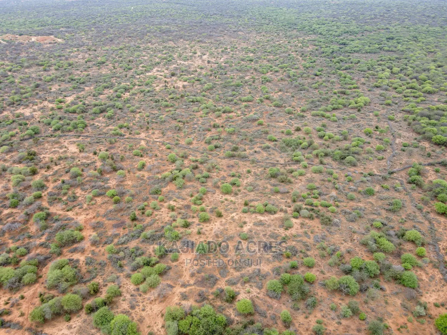 Prime 75 Acres & 70 Acres Maili Tisa Land Offered at 350k/Acre in Namanga