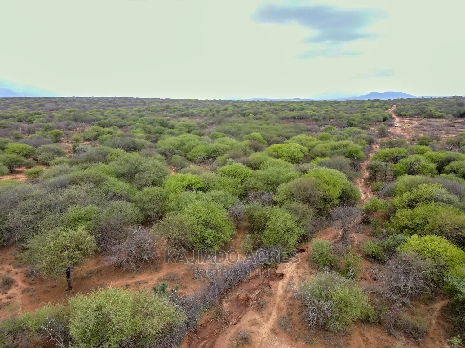 Prime 75 Acres & 70 Acres Maili Tisa Land Offered at 350k/Acre in Namanga
