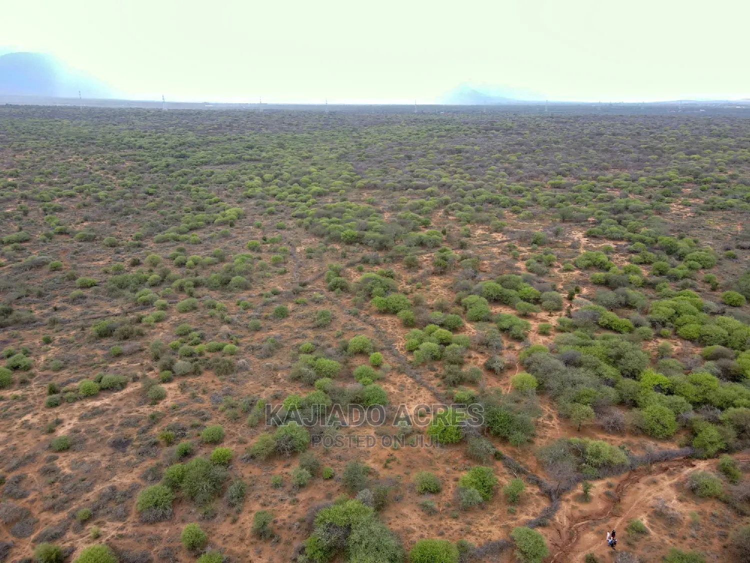 Prime 75 Acres & 70 Acres Maili Tisa Land Offered at 350k/Acre in Namanga