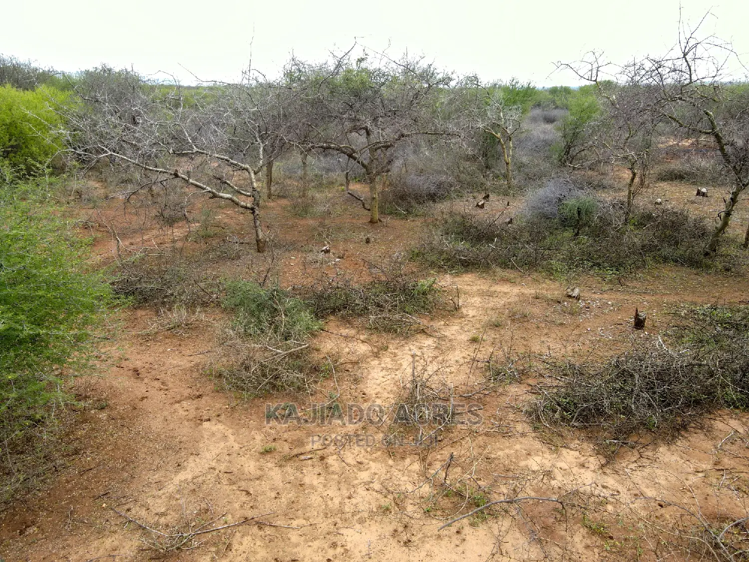 Prime 75 Acres & 70 Acres Maili Tisa Land Offered at 350k/Acre in Namanga
