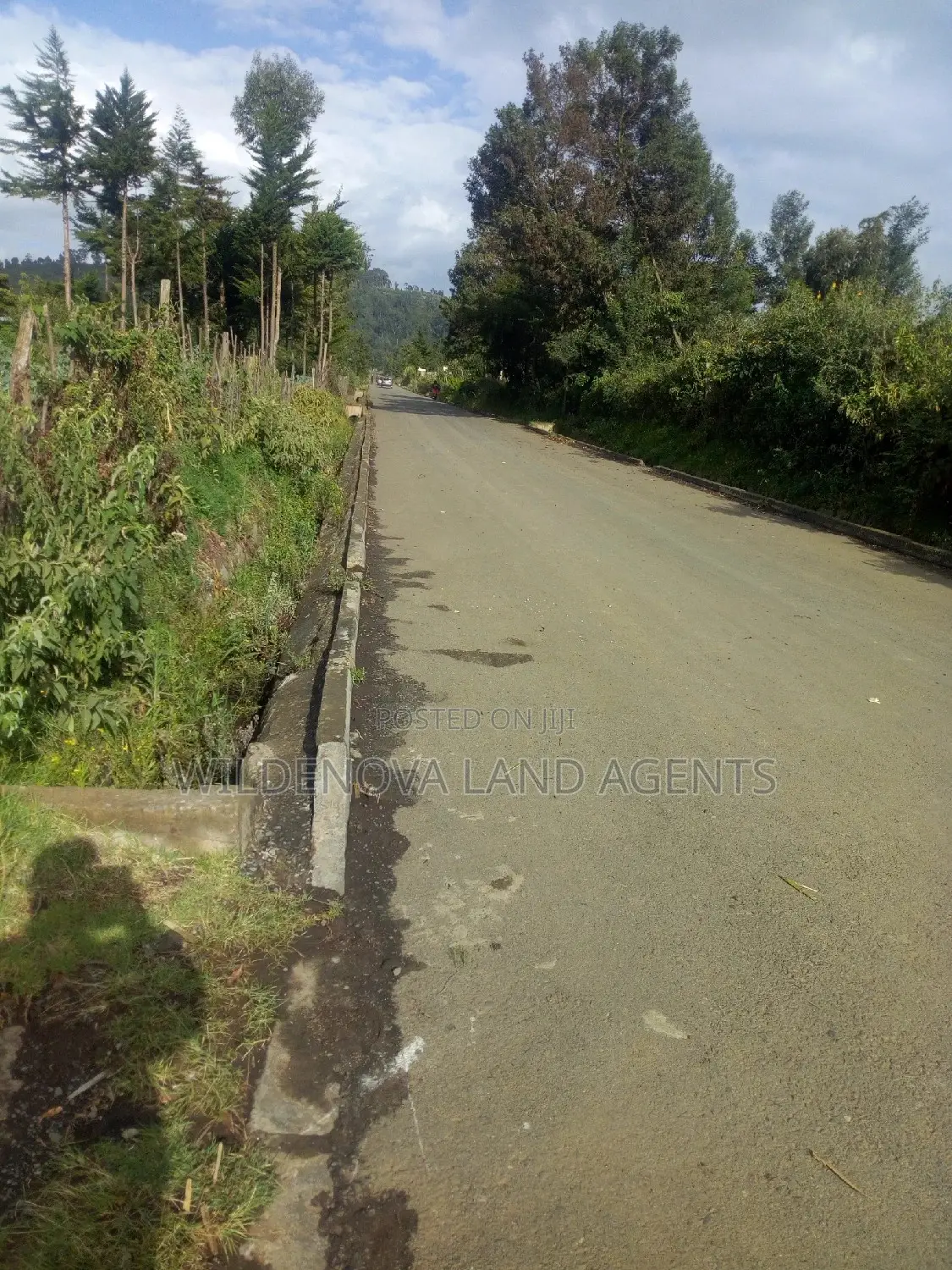 Land for Sale in Naivasha Kinungi - Kinungi in Kinungi