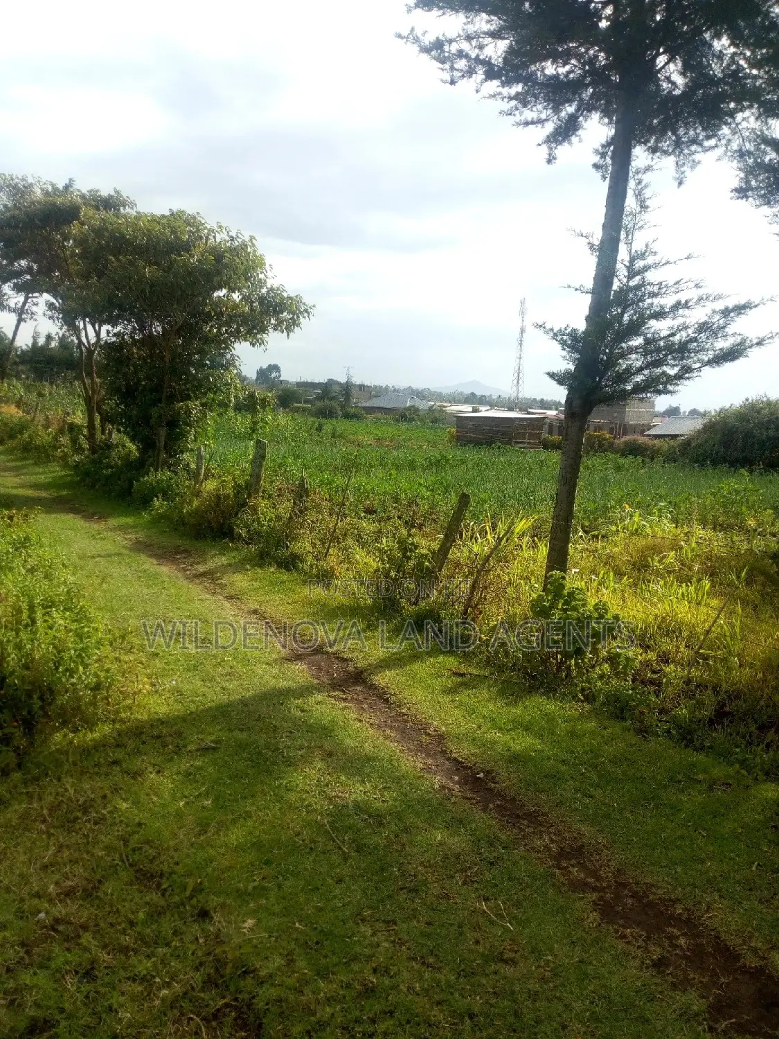 Land for Sale in Naivasha Kinungi - Kinungi in Kinungi