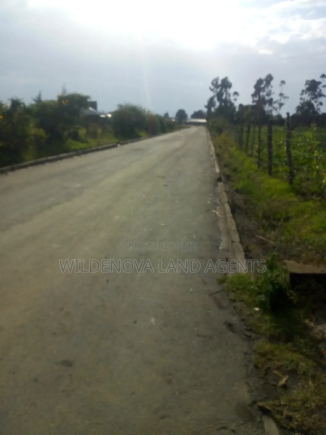 Land for Sale in Naivasha Kinungi - Kinungi in Kinungi