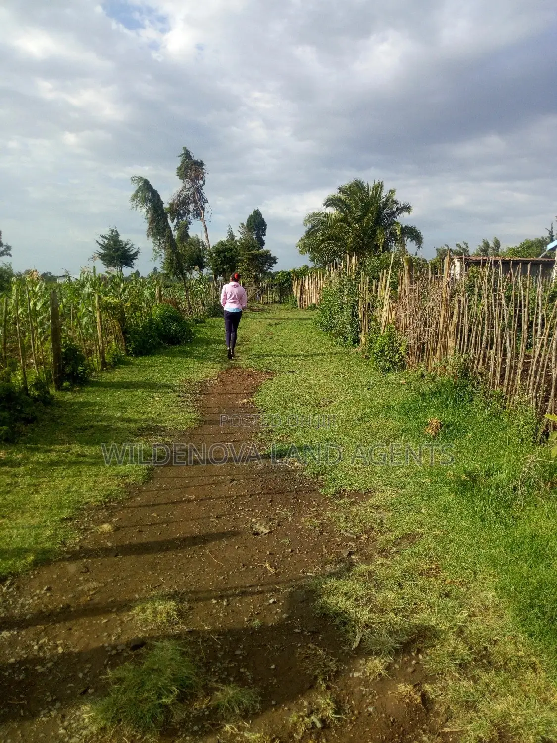 Land for Sale in Naivasha Kinungi - Kinungi in Kinungi