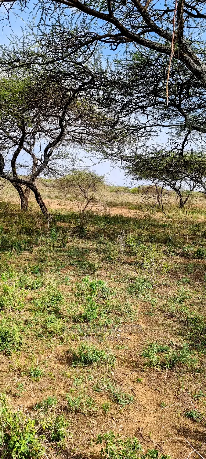 Prime 5-Acre Land for Sale in Soitamurt, Najlile - Only 400k per Acre! in Ewaso Kendong