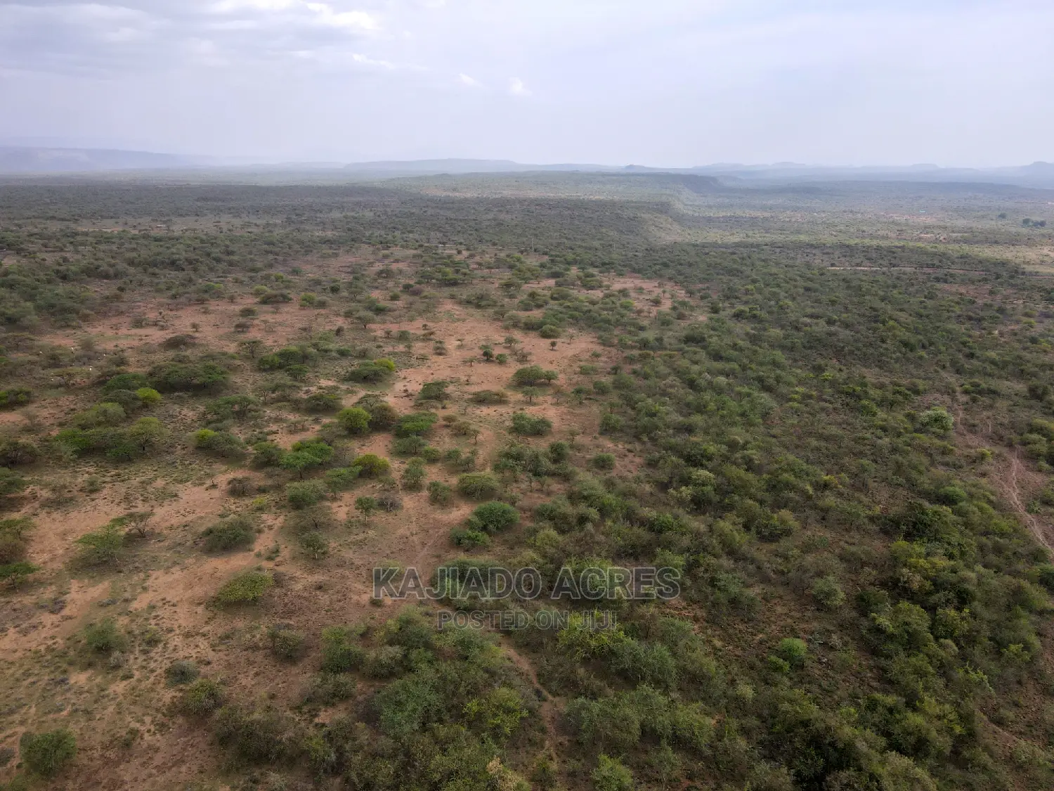 Prime 5-Acre Land for Sale in Soitamurt, Najlile - Only 400k per Acre! in Ewaso Kendong