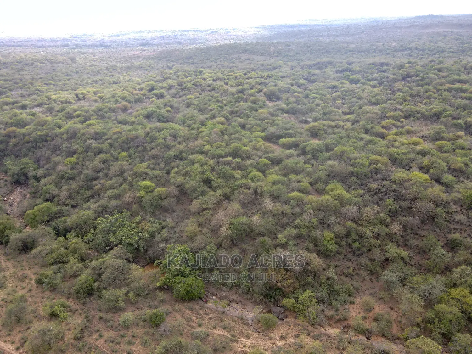 Prime 5-Acre Land for Sale in Soitamurt, Najlile - Only 400k per Acre! in Ewaso Kendong
