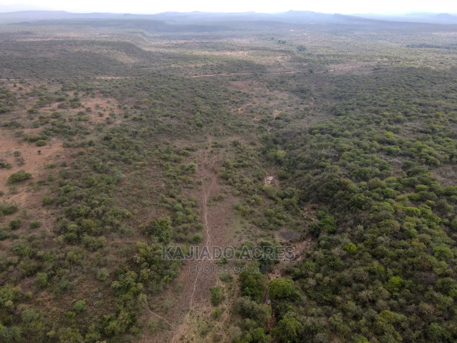 Prime 5-Acre Land for Sale in Soitamurt, Najlile - Only 400k per Acre! in Ewaso Kendong