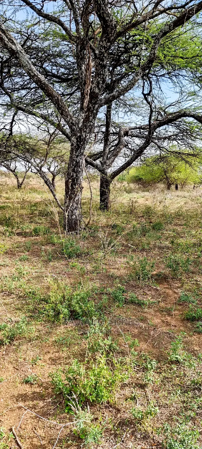 Prime 5-Acre Land for Sale in Soitamurt, Najlile - Only 400k per Acre! in Ewaso Kendong