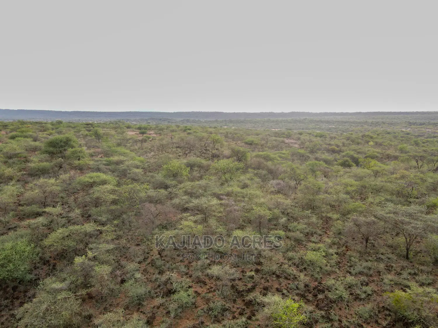 Affordable 70-Acre Serashi Land: $150K/Acre in Ewaso Kendong