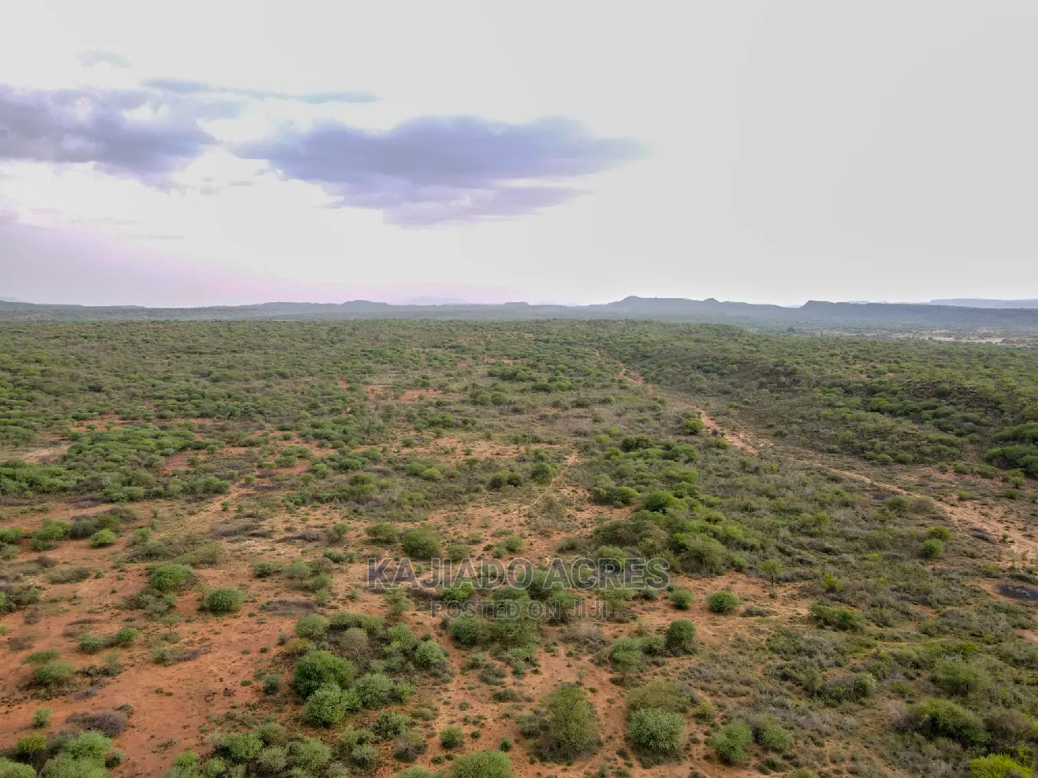 Affordable 70-Acre Serashi Land: $150K/Acre in Ewaso Kendong