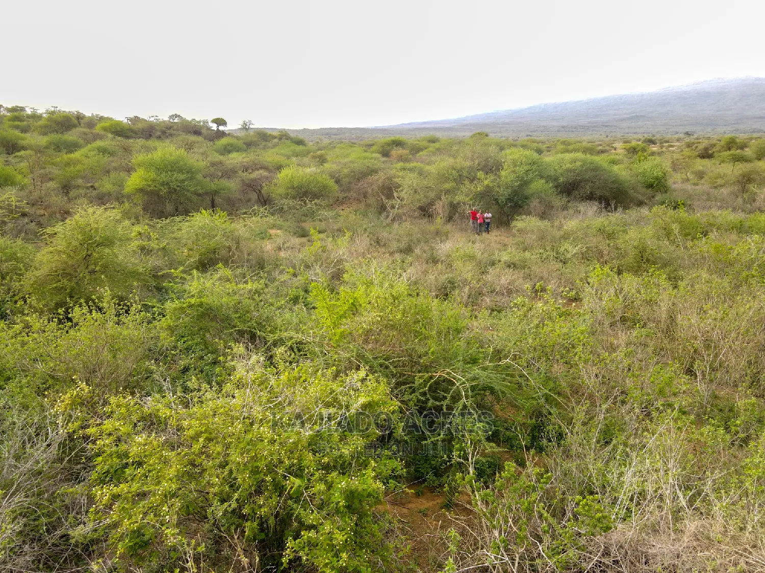 Affordable 70-Acre Serashi Land: $150K/Acre in Ewaso Kendong