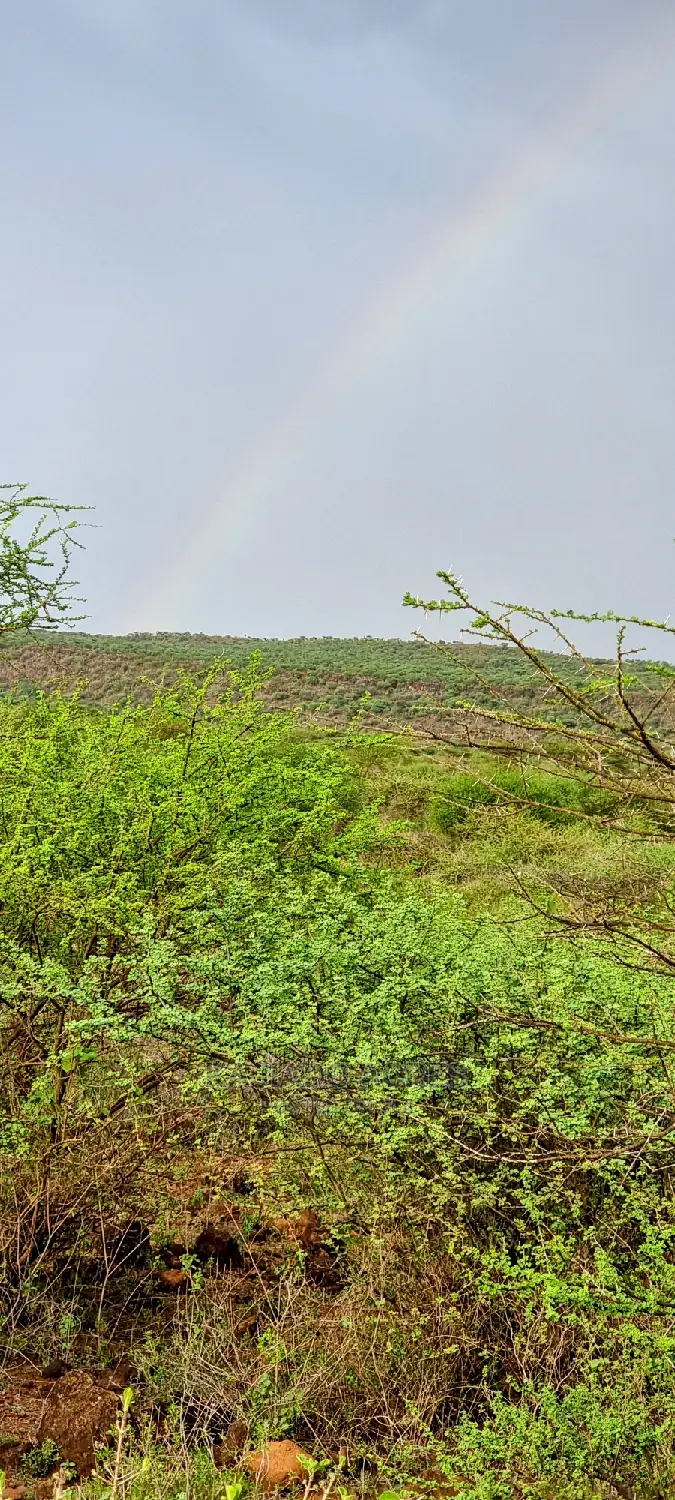 Affordable 70-Acre Serashi Land: $150K/Acre in Ewaso Kendong