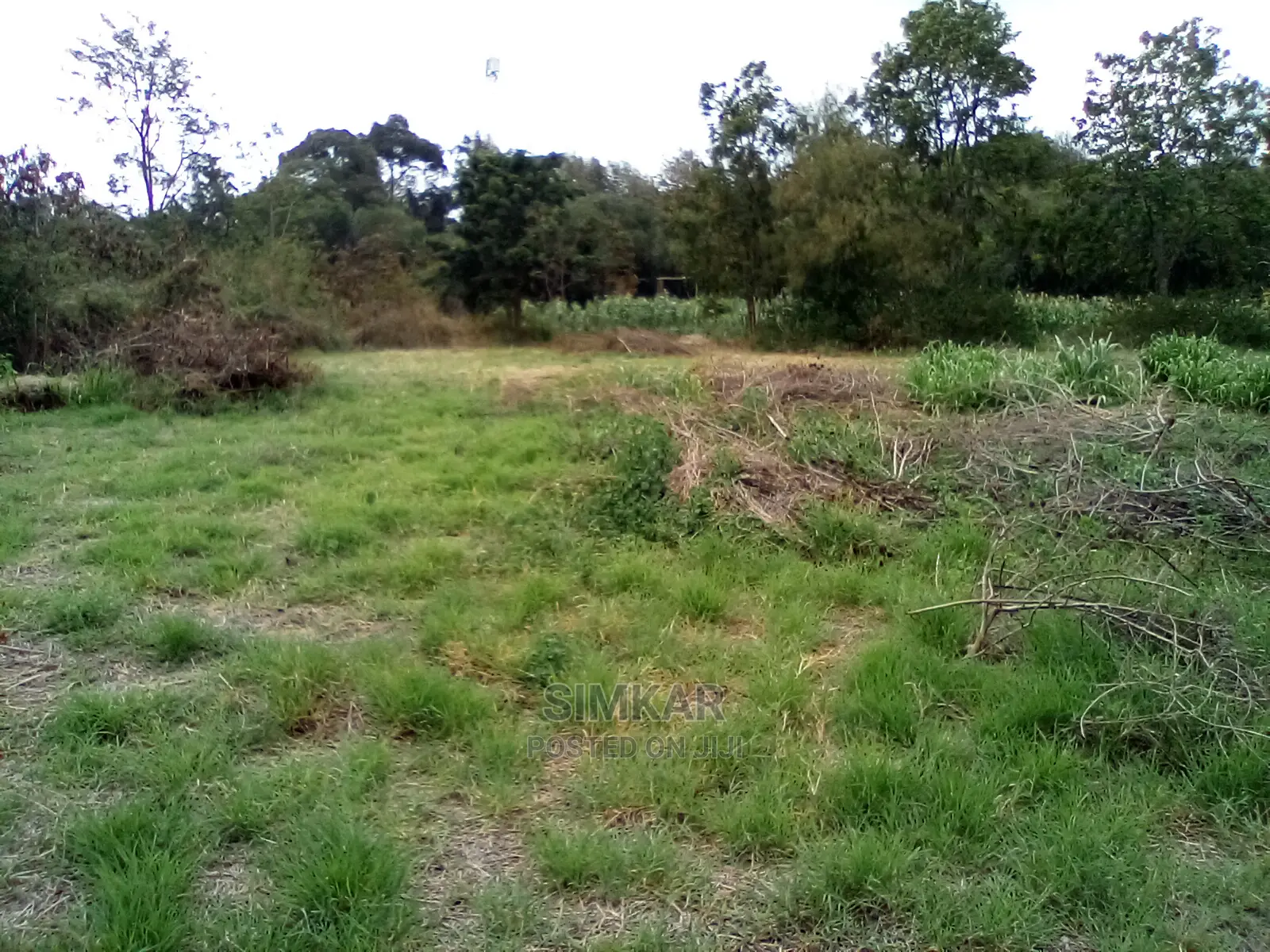 Invest in 1-Acre Land in Kiserian: Profitable Opportunities Await in Kiserian