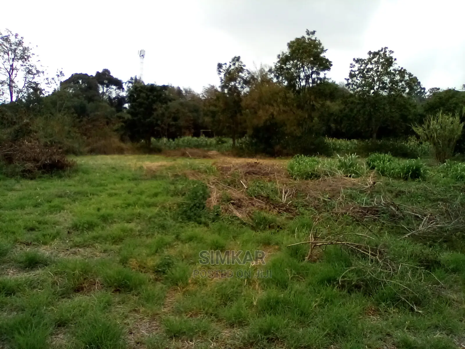 Invest in 1-Acre Land in Kiserian: Profitable Opportunities Await in Kiserian