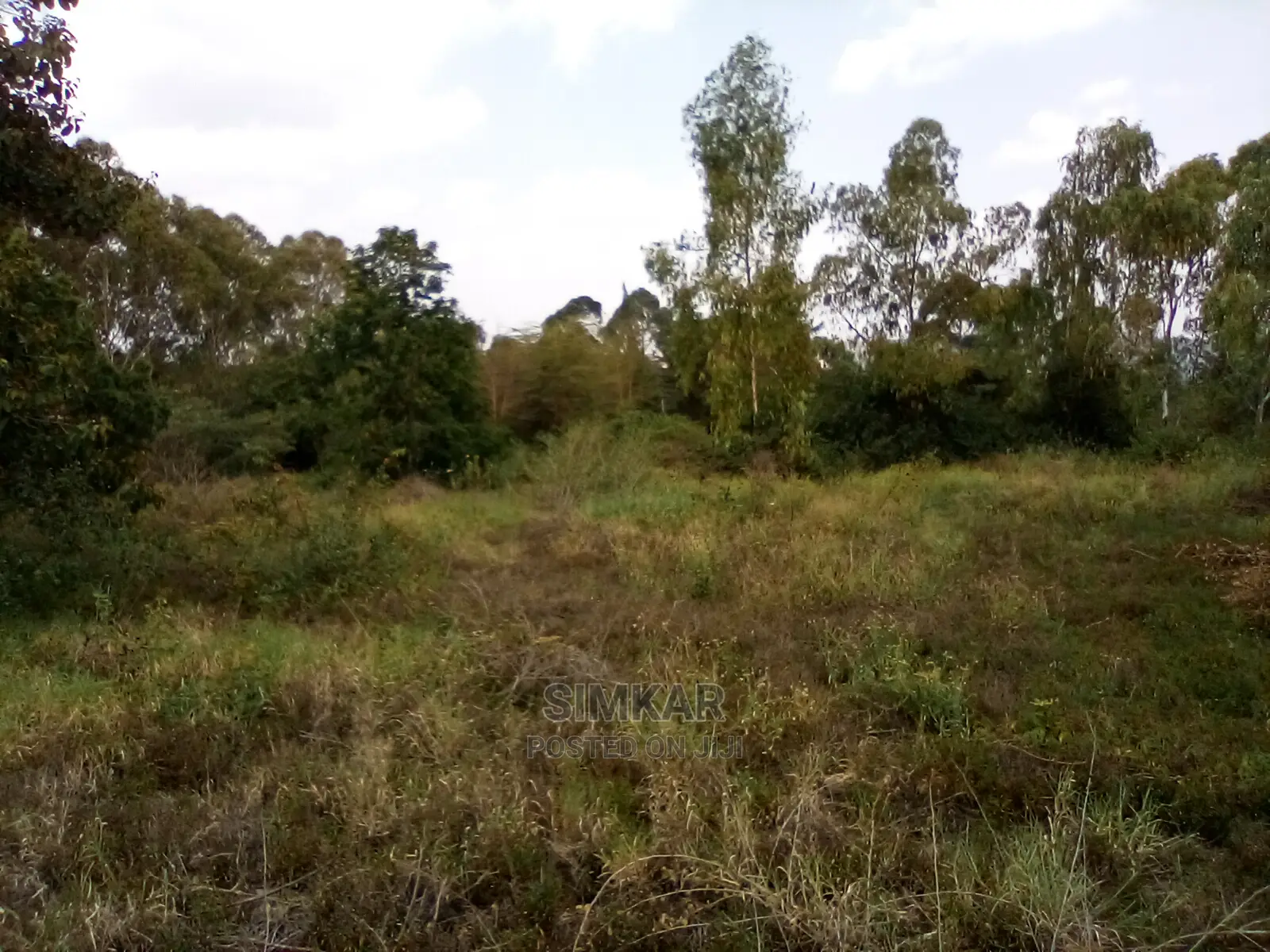 Invest in 1-Acre Land in Kiserian: Profitable Opportunities Await in Kiserian