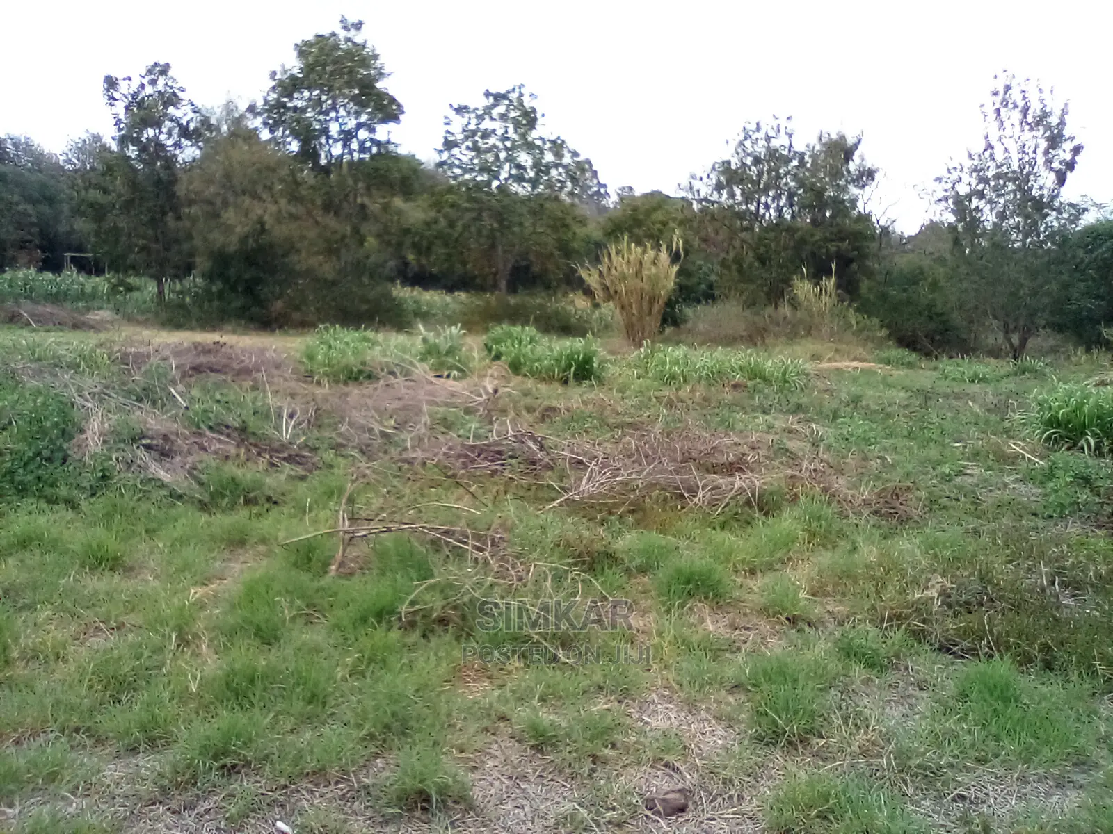 Invest in 1-Acre Land in Kiserian: Profitable Opportunities Await in Kiserian