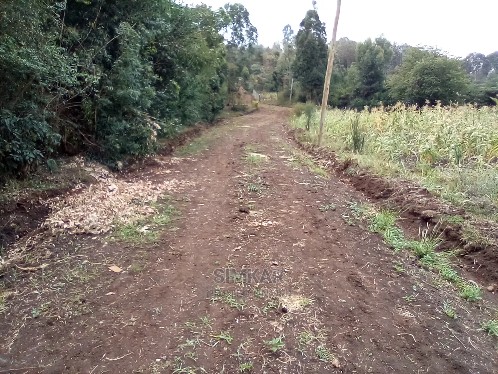 Invest in 1-Acre Land in Kiserian: Profitable Opportunities Await in Kiserian