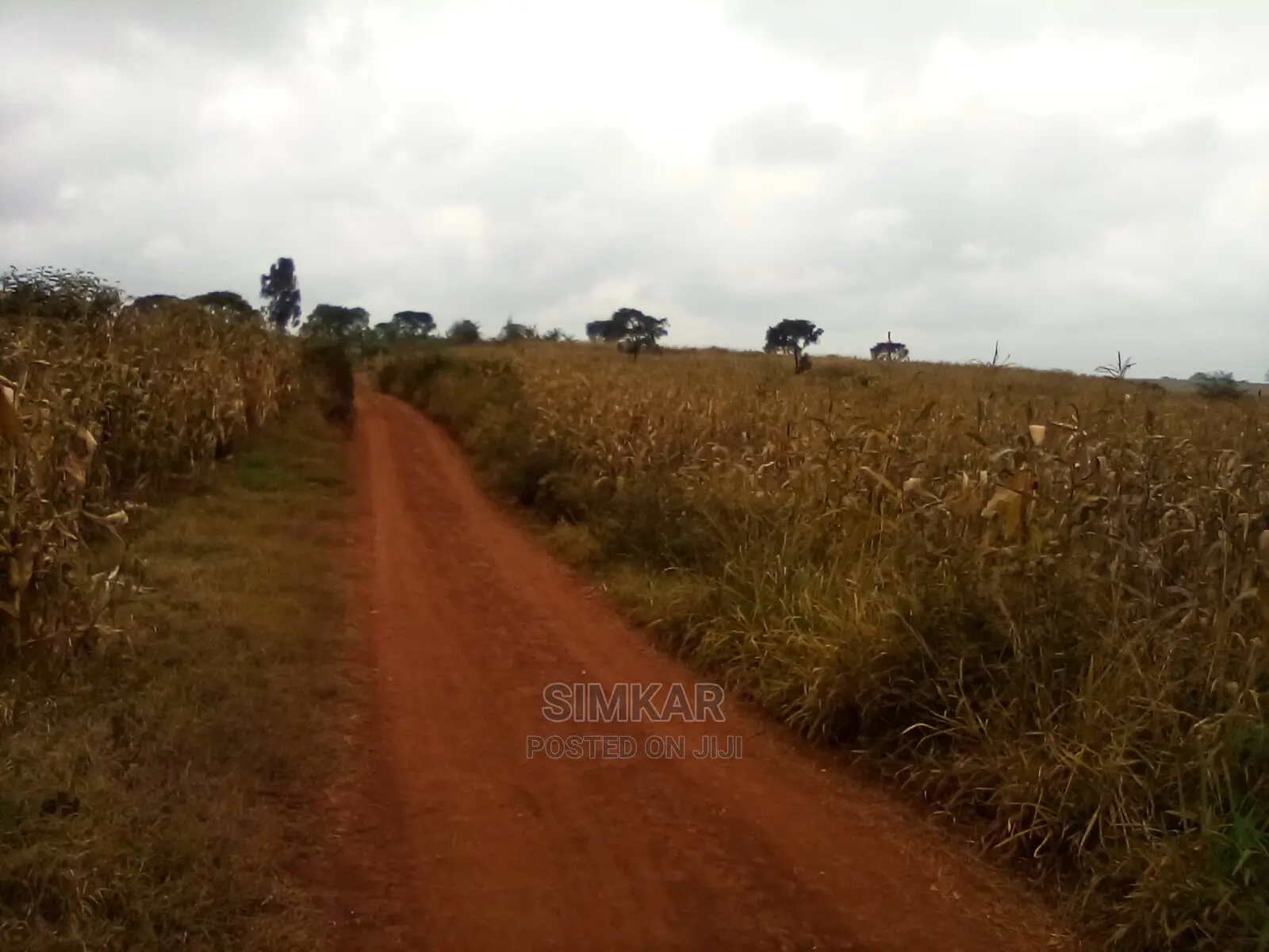 Quality Land for Sale in Ruiru - Your Future Home Awaits! in Membley Estate