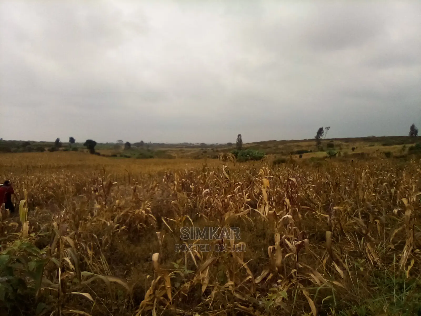 Quality Land for Sale in Ruiru - Your Future Home Awaits! in Membley Estate