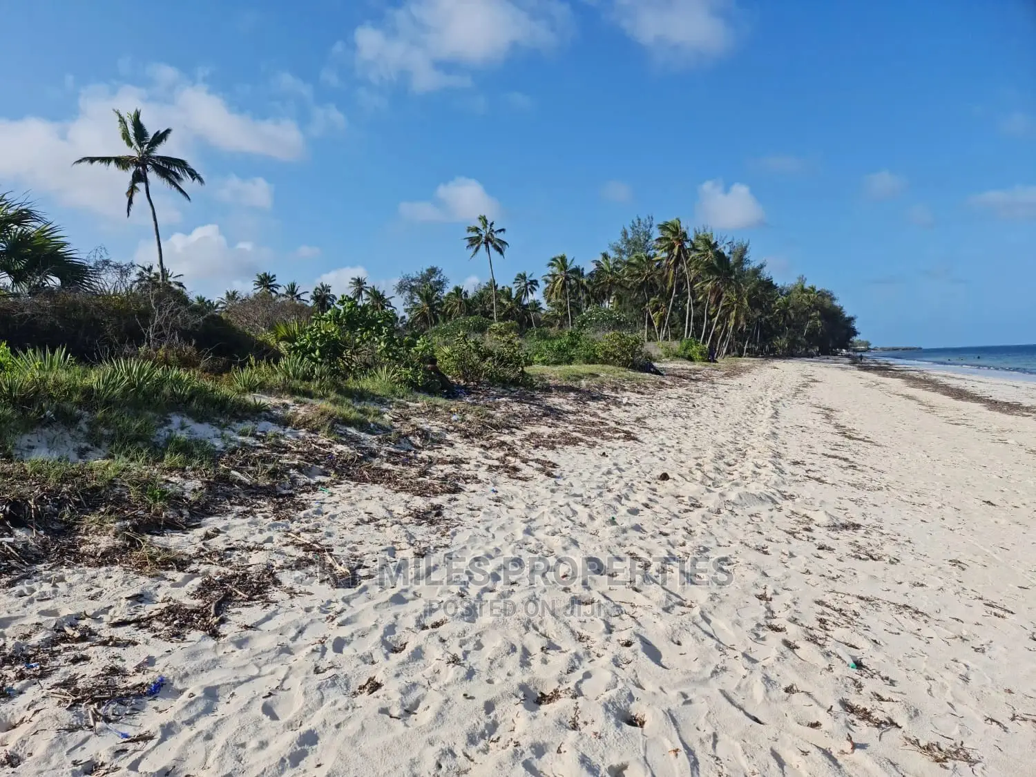 White Sandy Beach 10-Acre Property for Sale in Kikambala in Kikambala