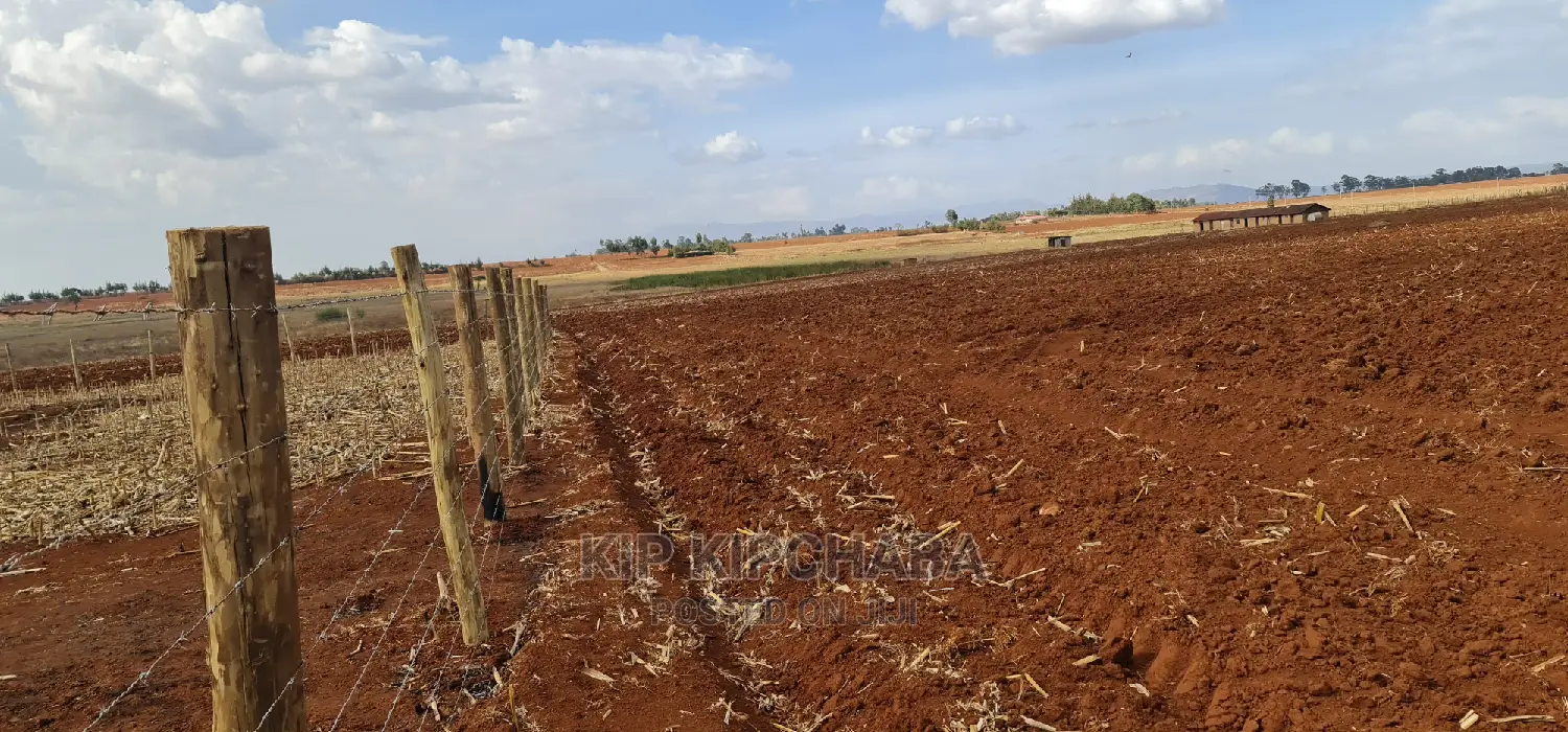 Prime 5 Acres Land in Ray Farm Moiben Eldoret for Sale in Moiben