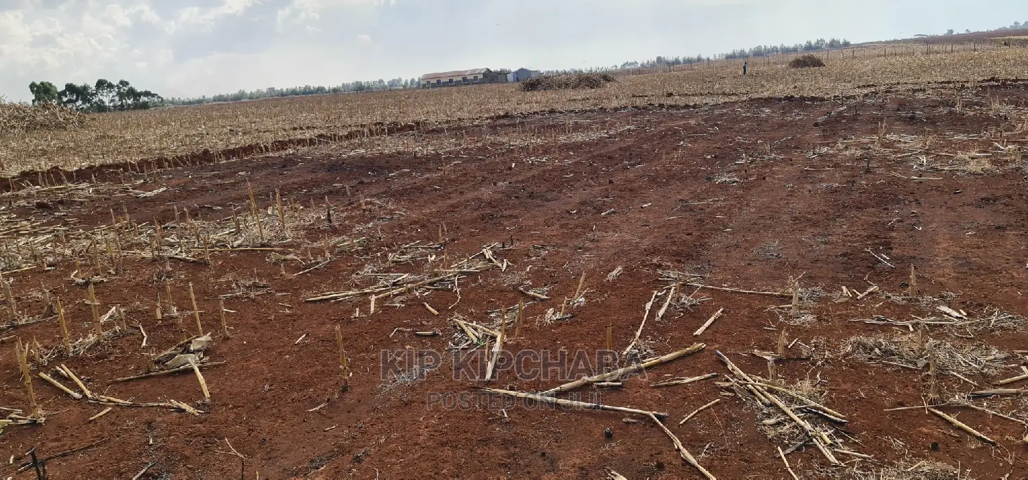 Prime 5 Acres Land in Ray Farm Moiben Eldoret for Sale in Moiben