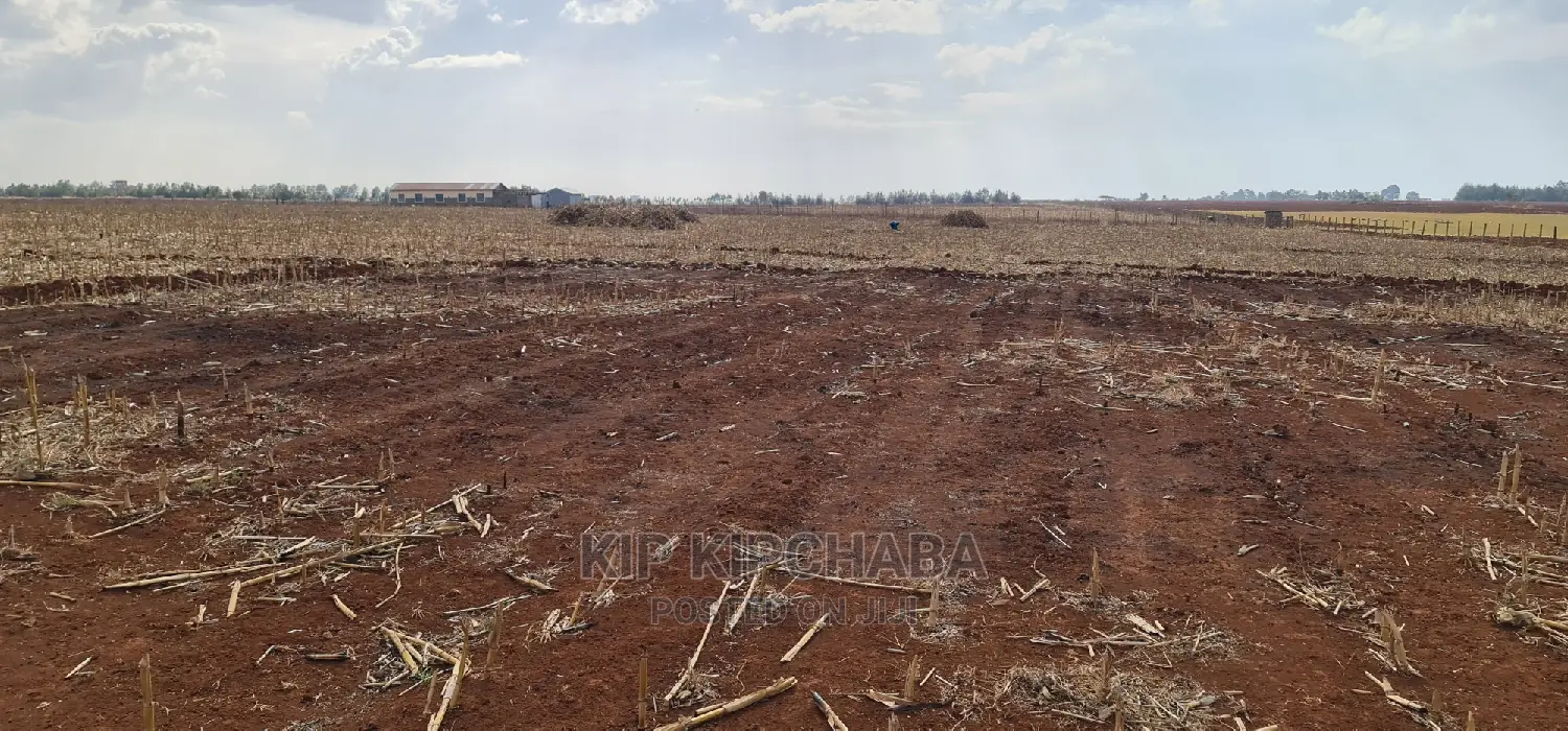Prime 5 Acres Land in Ray Farm Moiben Eldoret for Sale in Moiben