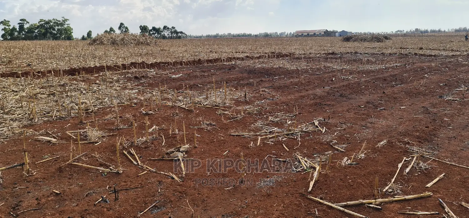 Prime 5 Acres Land in Ray Farm Moiben Eldoret for Sale in Moiben
