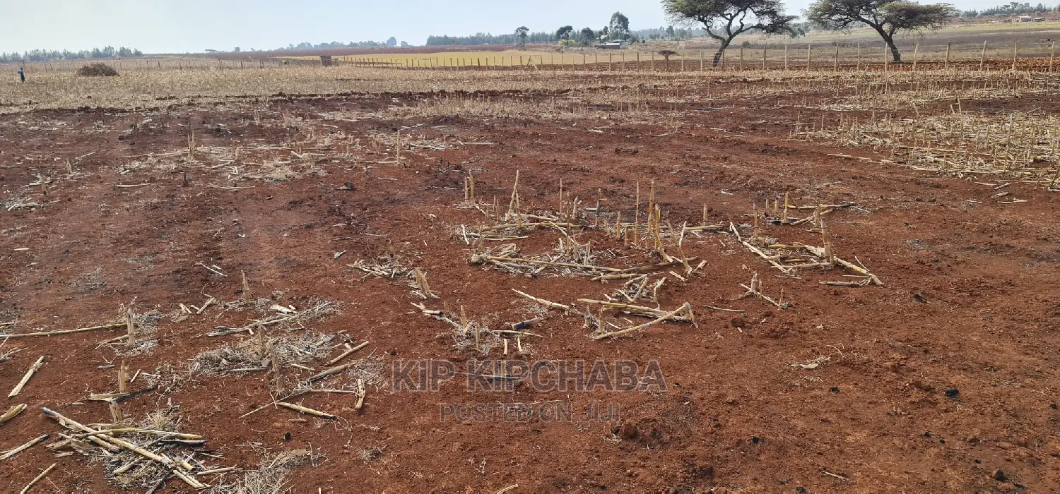 Prime 5 Acres Land in Ray Farm Moiben Eldoret for Sale in Moiben