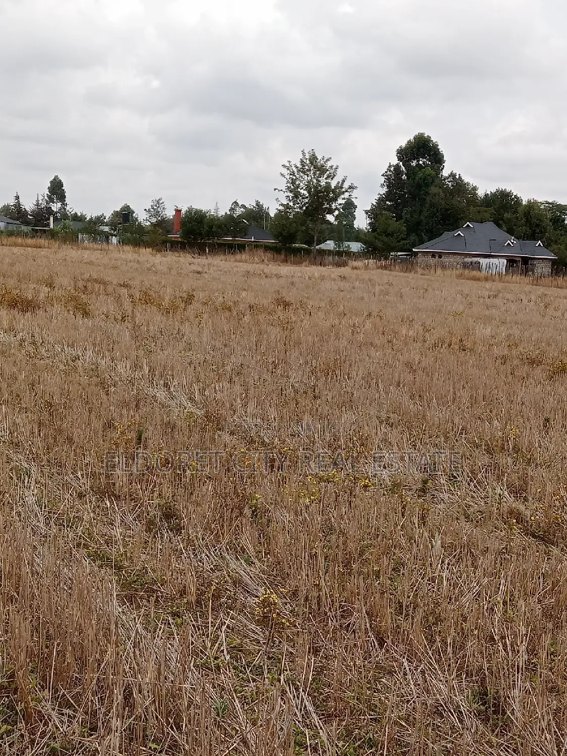 Build Your Dream Home on a 1/4-Plot in Chepkanga Today in Eldoret West
