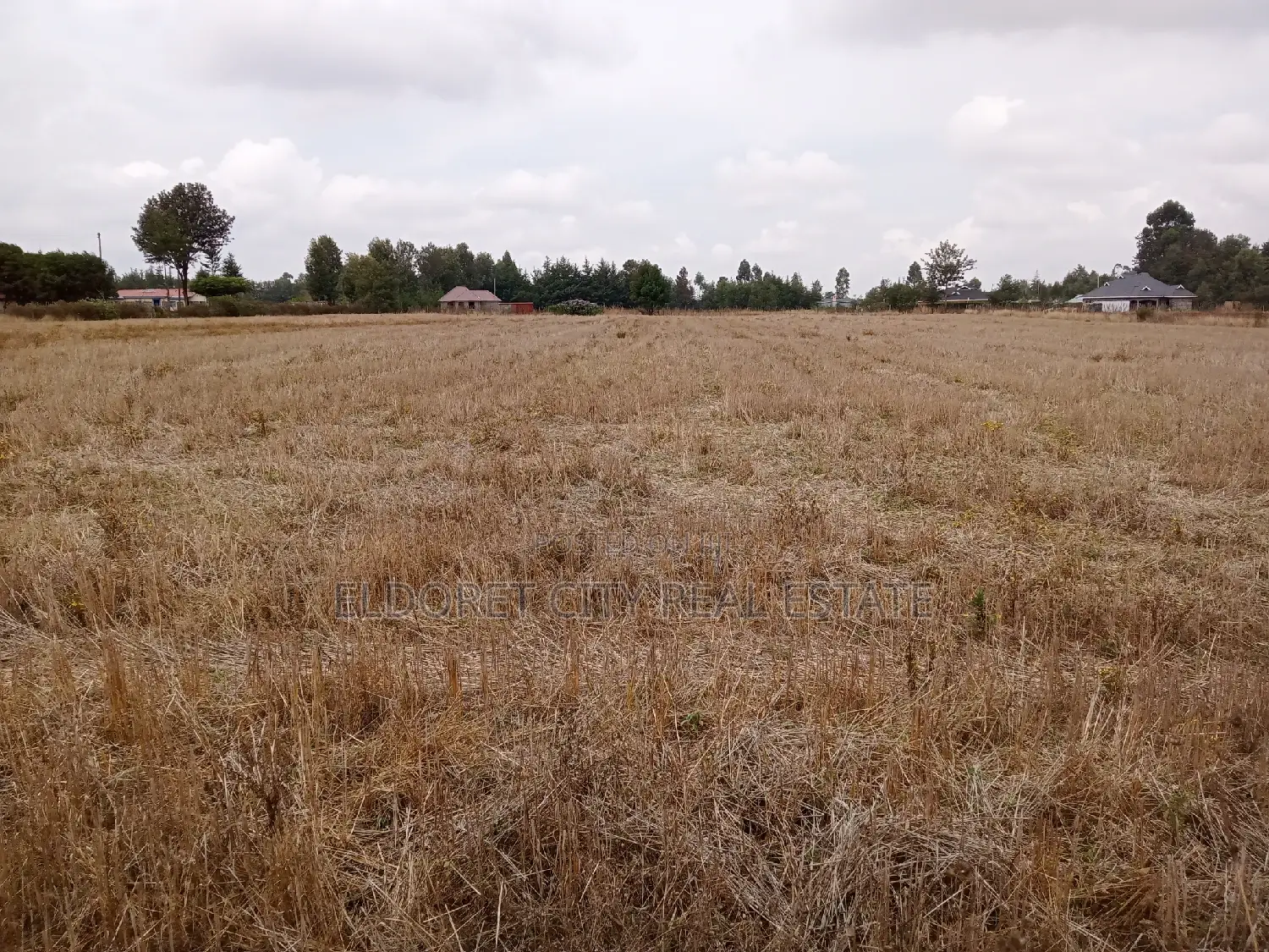 Build Your Dream Home on a 1/4-Plot in Chepkanga Today in Eldoret West