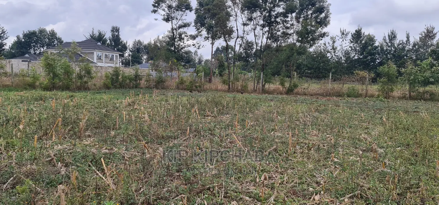 Discover Royalton Eldoret's Gated Community Plots for Sale in Racecourse