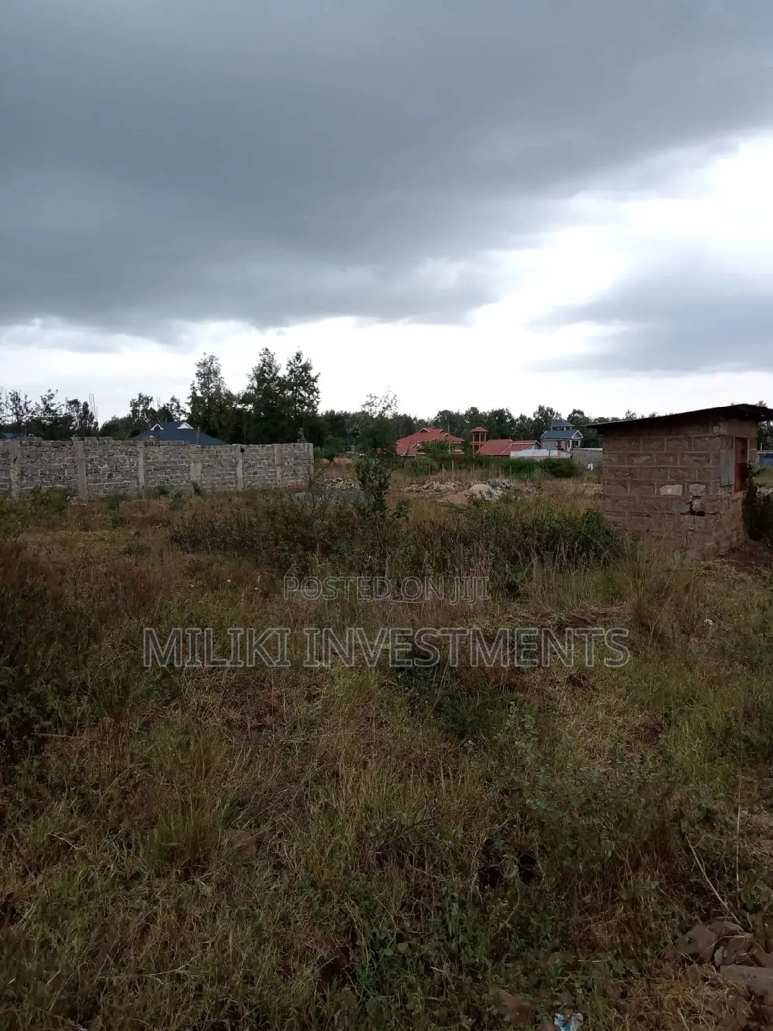 40x80 Plot in Kenol-Kimorori - Ideal Location for Your Next Real Estate Venture in Kimorori/Wempa